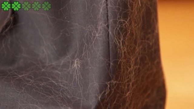 5 вещей которые нельзя загружать в стиральную машину | Я знаю смотреть онлайн