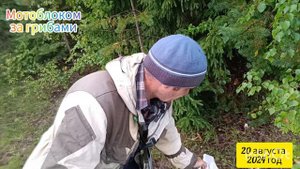 Едем в лес  за грибами.  бездорожье мотоблоком