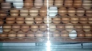 Овоскоп -Проверка яиц, рассада)