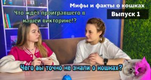 Викторина на тему: Мифы и факты о кошках ?
Кто станет победителем и что ждёт проигравшего?