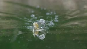 Катера Crestliner 2019 Модельный Ряд