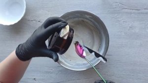 Шифоновый ванильный бисквит, лёгкий и быстрый рецепт