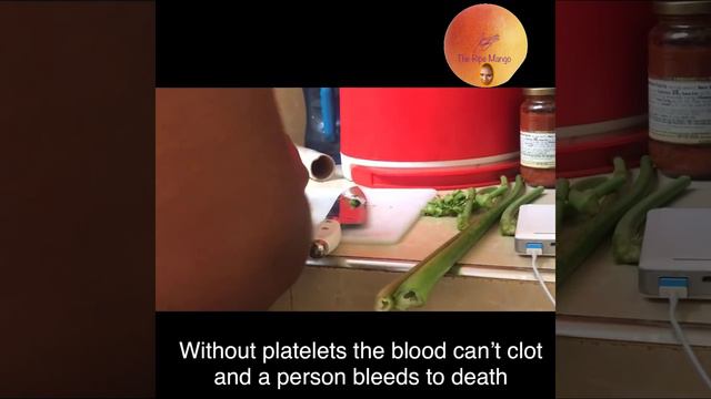 PLEASE SHARE TO SAVE LIVES!!! PAPAYA LEAF JUICE FOR DENGUE FEVER