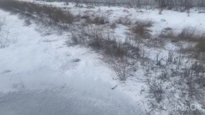 Охота на зайца 2024 год Саратовская область