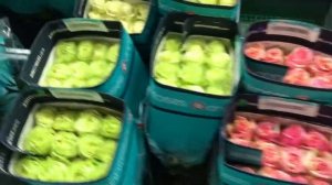 Новые сорта роз в Эквадоре на плантации