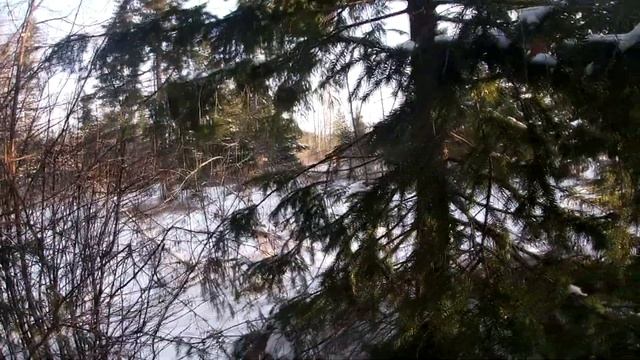 утро из жизни птицелова смотреть онлайн