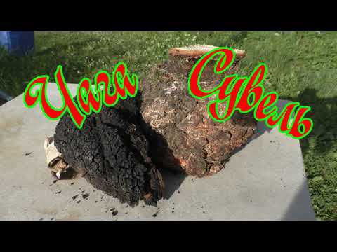 Чага, Сувель. Немного о ножах. смотреть онлайн