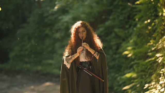 Lord Of The Rings - The Shire Theme (cover by LITW) смотреть онлайн