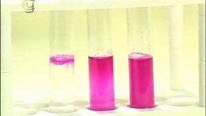 Взаимодействие оксидов щелочно-земельных металлов с водой и раствором кислоты