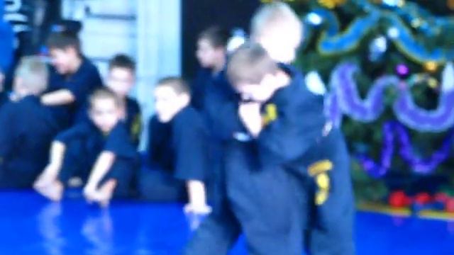 ММА ХОРТИНГ. Новогодний детский турнир от 4 до 11 лет. Главный судья - Алексей Паращенко, г. Киев смотреть онлайн