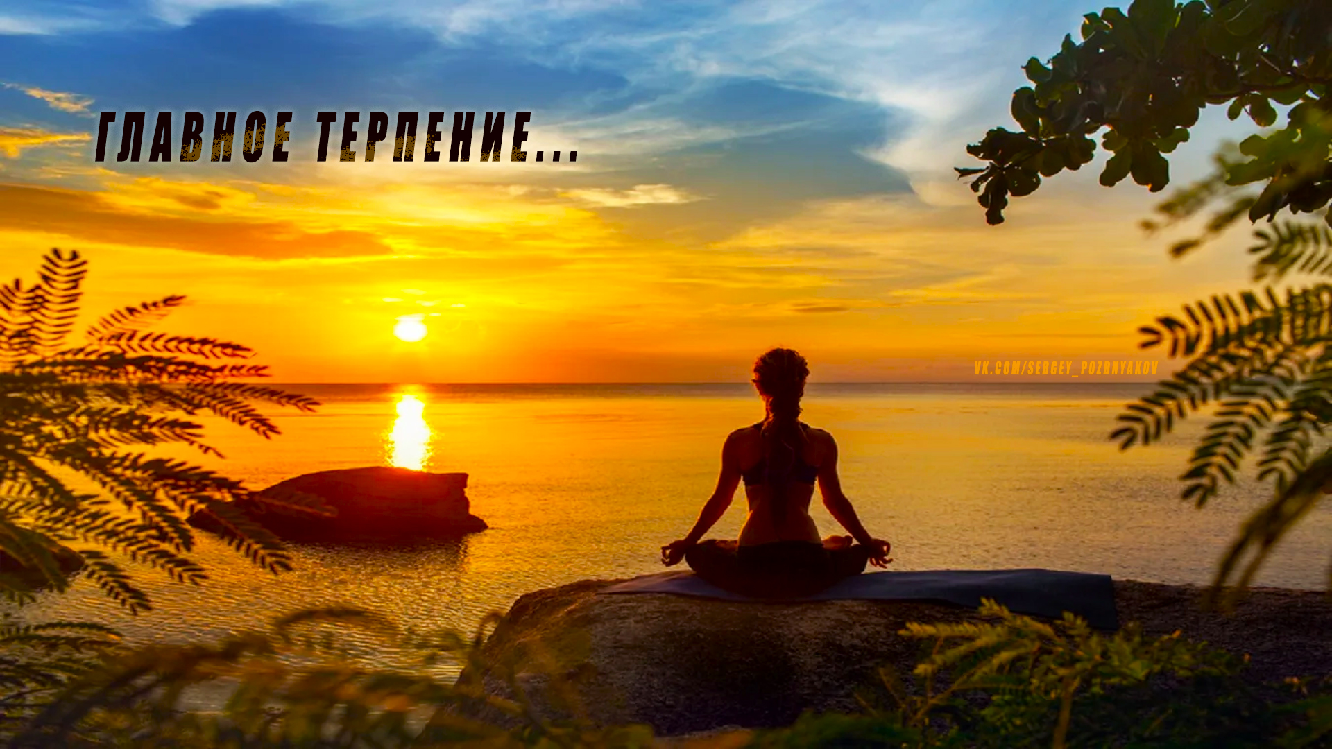 Главное Терпение