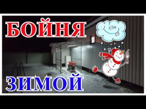 Бойня зимой