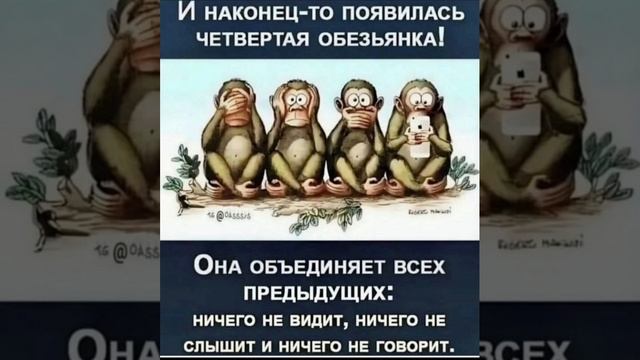 Тотальная деградация...mp4