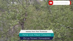 Аварский нашид