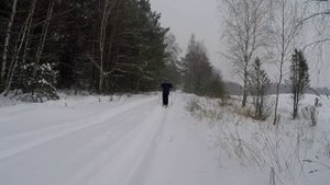 Беларусь лыжные прогулки