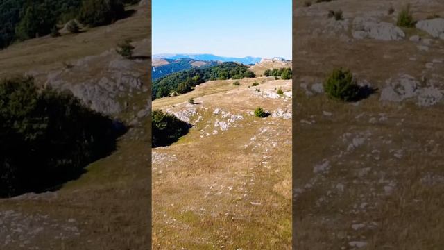 Гора Демерджи Крым !!! #крым #отдыхвкрыму #айпетри #демерджи #горыкрыма #горы