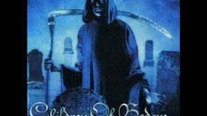 Children Of Bodom - Hate Me!
