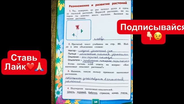 ГДЗ по окружающему миру 3 класс рабочая тетрадь Соколова страница 38 смотреть онлайн