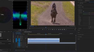 Как сделать Speed Ramping в Premiere Pro