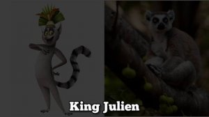 Мадагаскар в реальной жизни / Madagascar in real life.