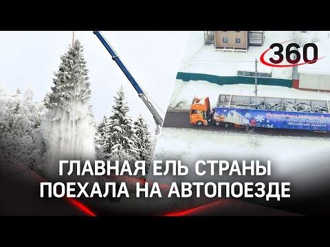 Главная новогодняя ёлка отправилась в Кремль на автопоезде