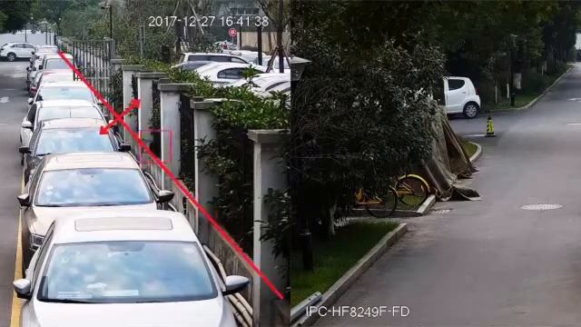 Распознавание животных смотреть онлайн