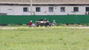 6.07.2024г.Абаканский Ипподром Лошади рысистой породы 2-х лет 1600м..