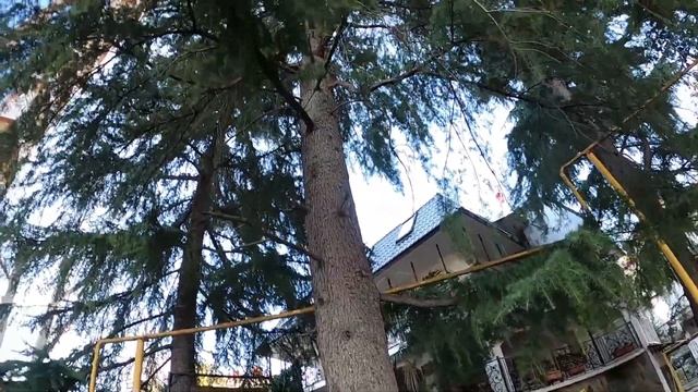 КВАРТИРА В САМОМ СЕРДЦЕ СОЧИ ПО СУПЕР ЦЕНЕ_Купить квартиру в Сочи.