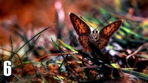 12 ФАКТОВ о СИБИРИ