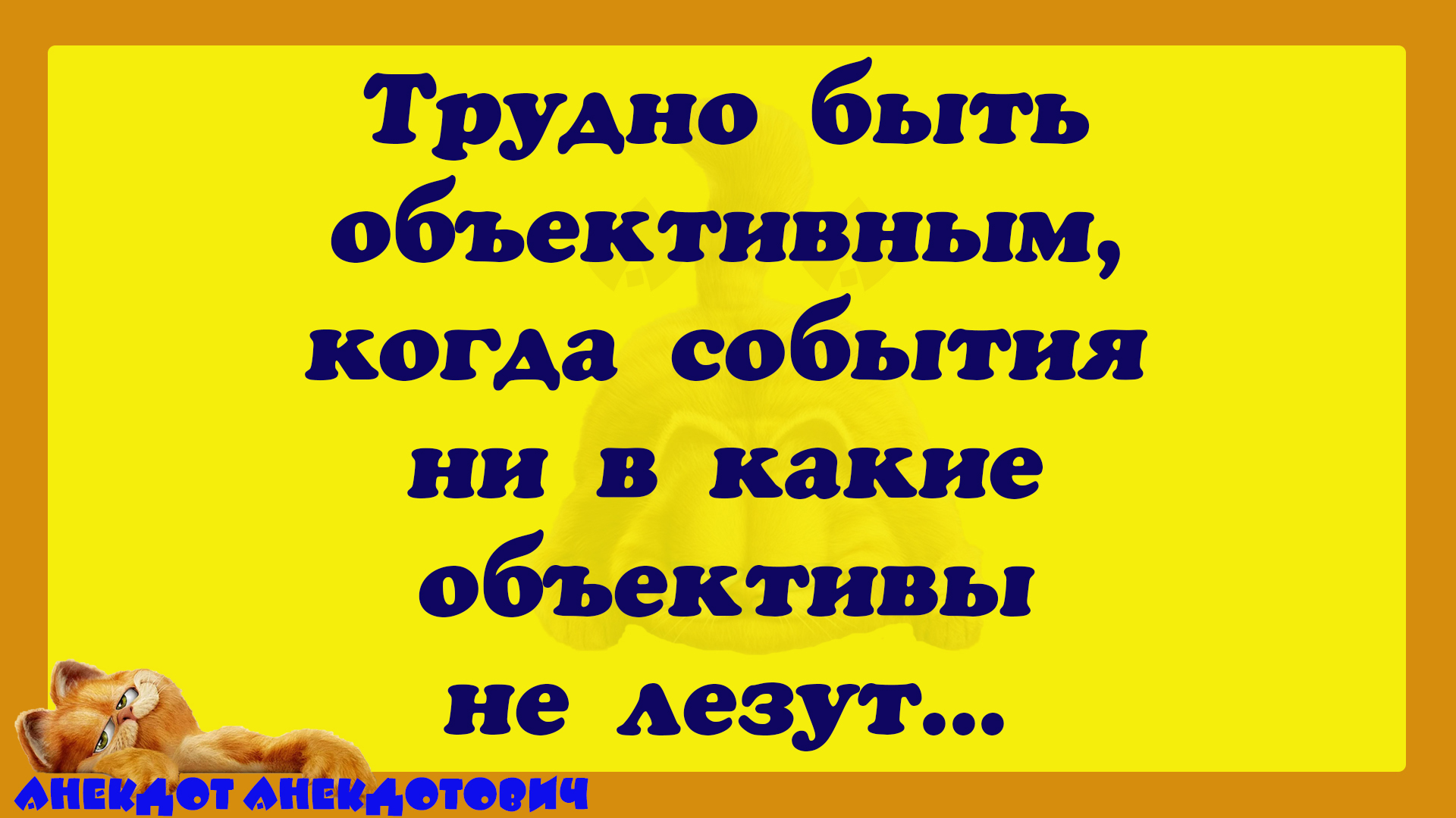 Кучерявая брюнетка в белых трусиках усадила мужика в кресло и поскакала на хую