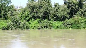 Дикая природа России самые красивые пейзажи природы весна