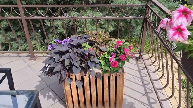 Вазоны для цветочных композиций смотреть онлайн