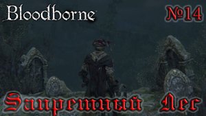 BloodBorne Прохождение, тактика и секреты - #14 Запретный Лес