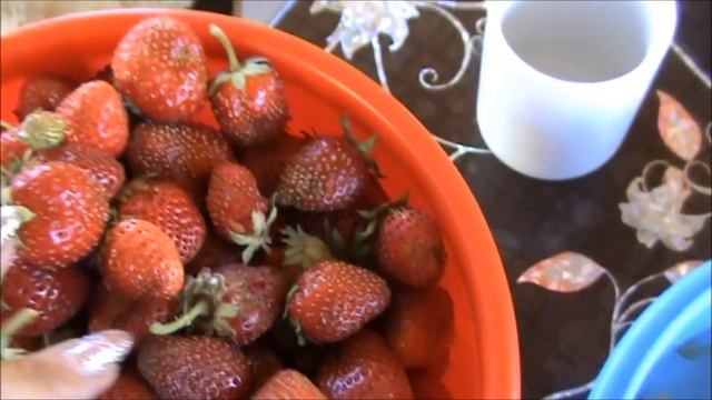 На ДАЧУ/ Мы Южане и мы сажаем арыками /Обзор Покупок/Мамины приветы смотреть онлайн