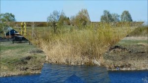с.Боровое Крутихинского района.А он ничей