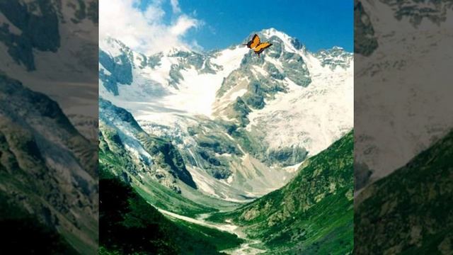 Автобус НАЛЬЧИК МОСКВА смотреть онлайн