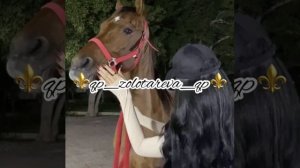 Слава Крым цыганская поличка✨