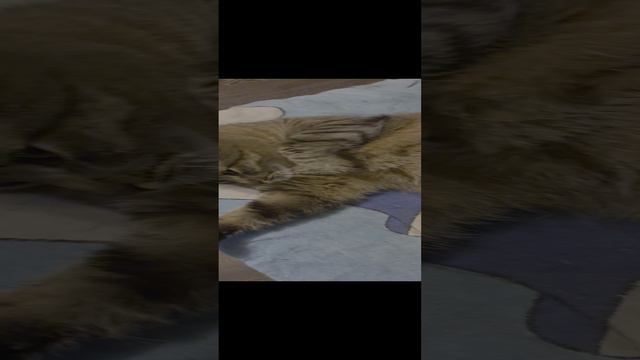 дай пять смотреть онлайн