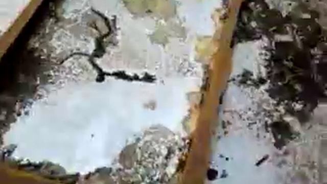 Занимательное сталкерство. Часть 2 смотреть онлайн