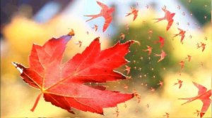 "Когда суровая судьба...".