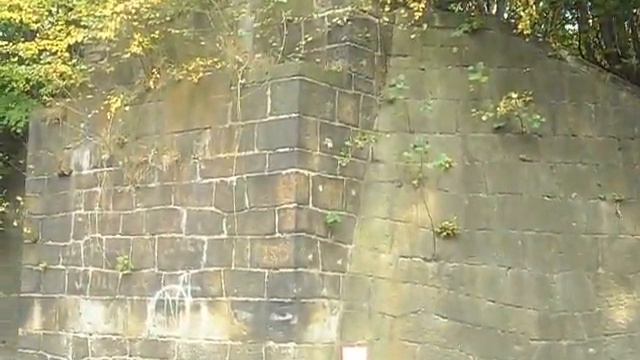 Жизнь в Германии. Каменц. Старый ж д мост.2 смотреть онлайн