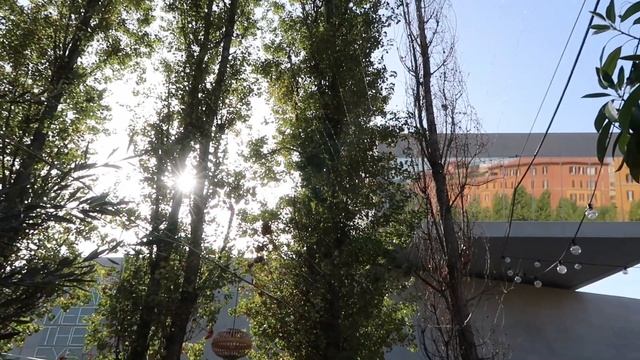 Музеи Ватикана, Ван Гог и необычная архитектура Рима (Италия, ч.2)??