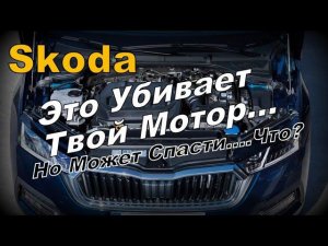 Skoda: Это Колечет Мотор, Но Лечит..... Что? (2023)