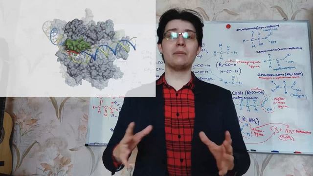 Как солнечная радиация влияет на нас и причём тут репарационная система клетки?