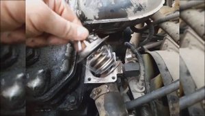 Термостат ТАМА на Маз Корнет, Зубрёнок, Газель.