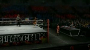 WWE Fantasy Hell in a cell (3)