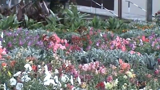 Я люблю эту женщину Владимир Плаксин смотреть онлайн