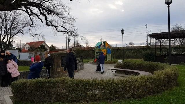Тюльпанное дерево в поселке Головинка, Лазаревского р-на.Рядом Гостевой дом Замок у моря.Январь 202 смотреть онлайн