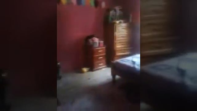 angry birds star wars ll telepods contra dad dader trailer oficial en Español смотреть онлайн