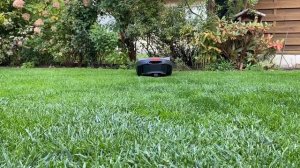 Робот-газонокосилка Гардена Силено Сити 250